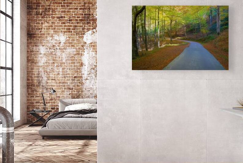 Winding road to Collsacabra - CR2111-6197-PIN by JordiCarrio