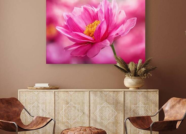 Pink Dream - GIA2401-0124-PIN by JordiCarrio