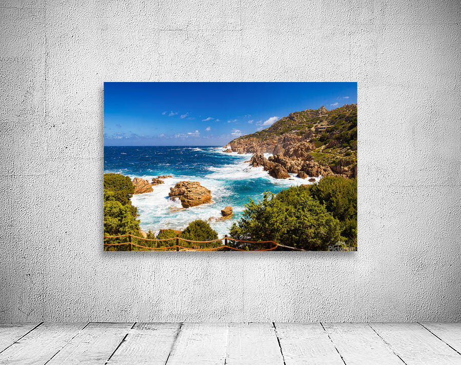 Wild Beauty - CR2405-0575-REA Wall Preview