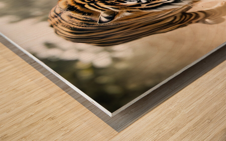 Intense Load - GIA2401-0212-REA Wood print