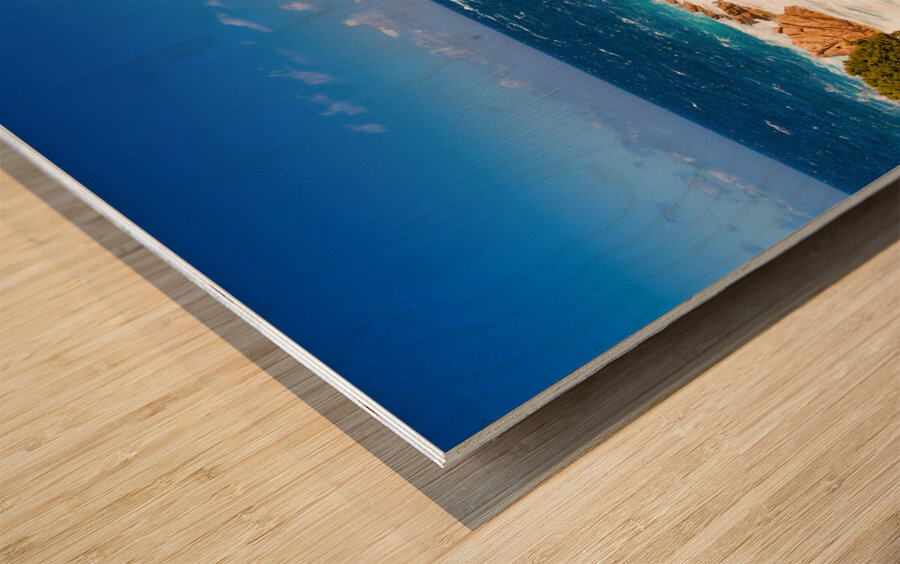 Wild Beauty - CR2405-0575-REA Wood print