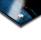 Star Trails Acrylic print
