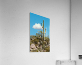 Loan Ranger Acrylic Print