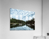 Symmetry  Acrylic Print