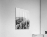 Shrouded  Acrylic Print