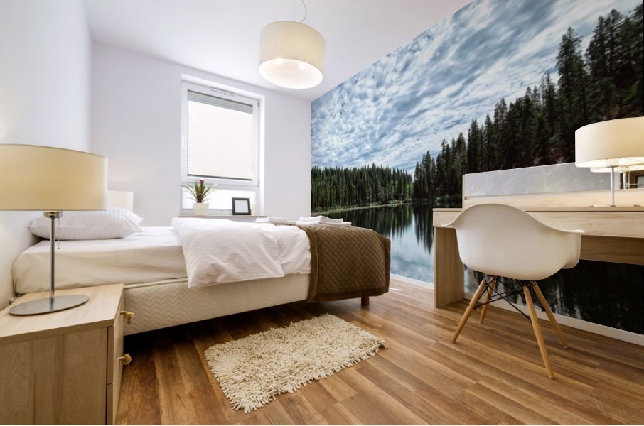 Symmetry  Mural print