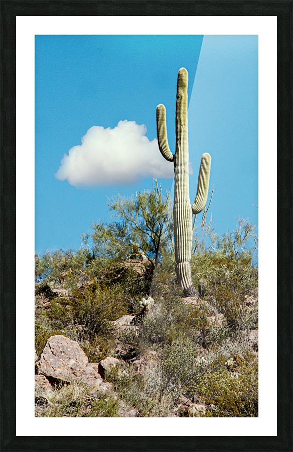 Loan Ranger Picture Frame print