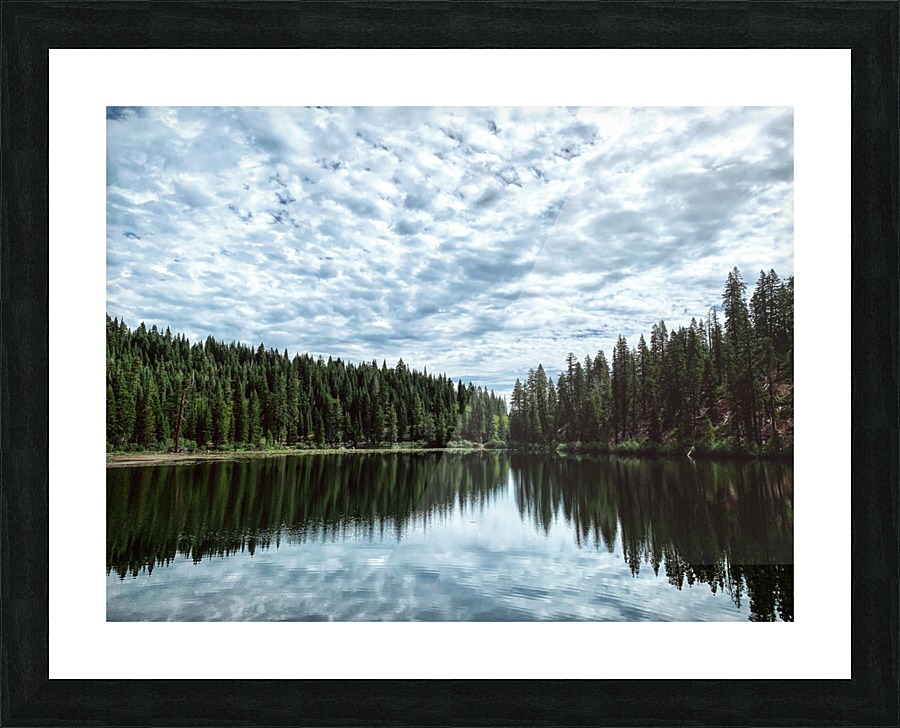 Symmetry  Picture Frame print