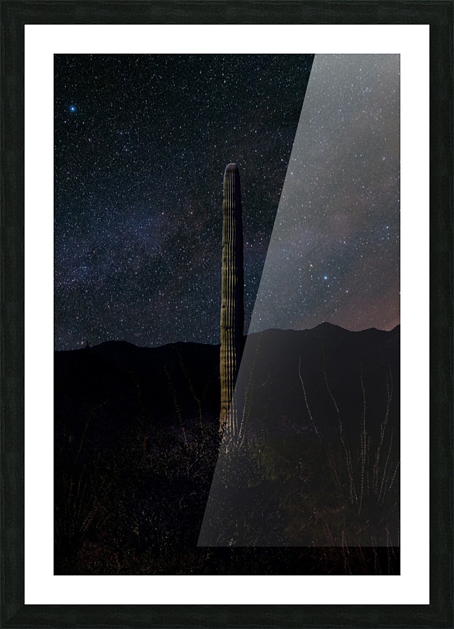 Galactic Cactus Picture Frame print