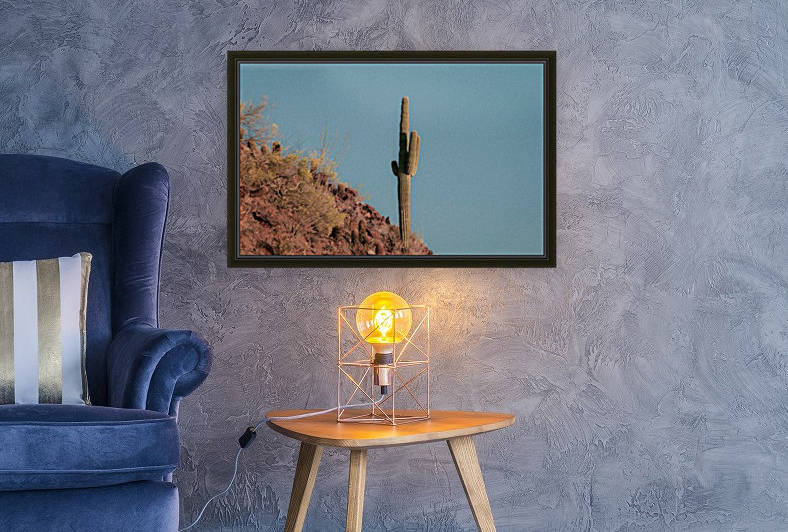Cactus on the Mountain  by Steve Habovstak