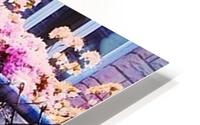 growing through HD Metal print