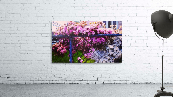 growing through Wall Preview