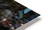 RiverWild HD Metal print