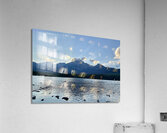 IMG 4102 Acrylic Print