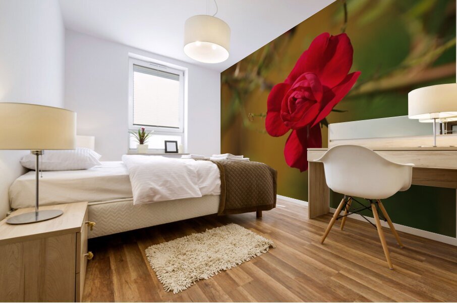 Rose Bud Blooming Mural print