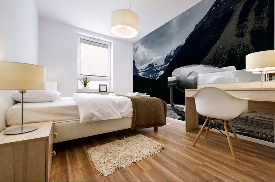 Icefield Observer Mural print
