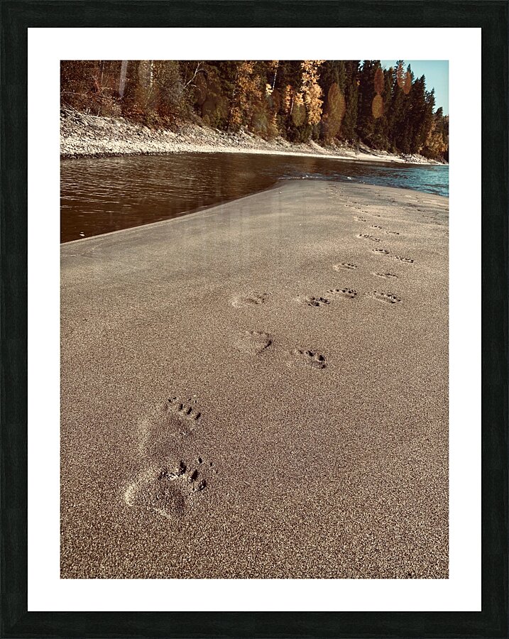 Gone But Not Far Picture Frame print