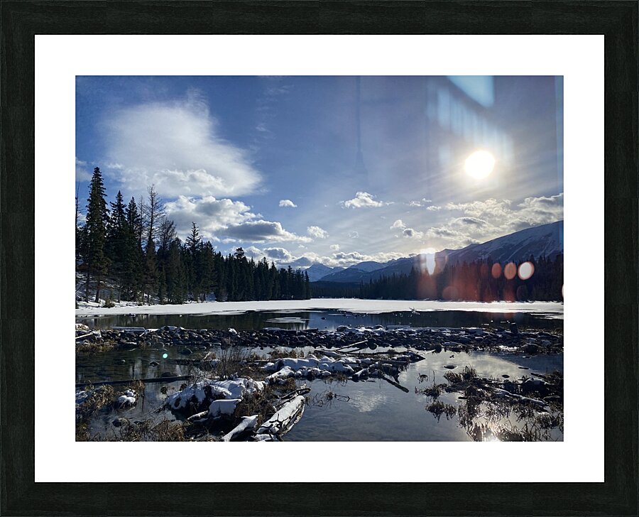 IMG 7035 Picture Frame print