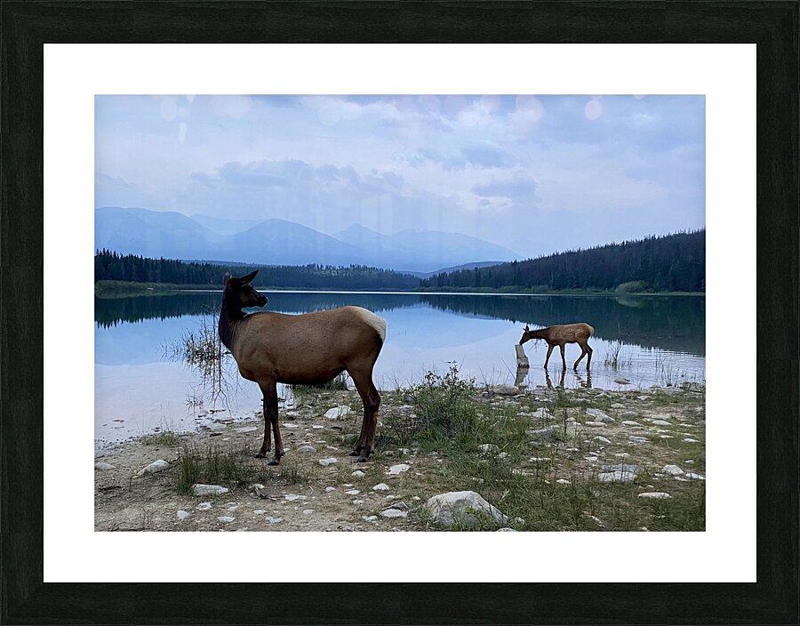 IMG 4132 Picture Frame print