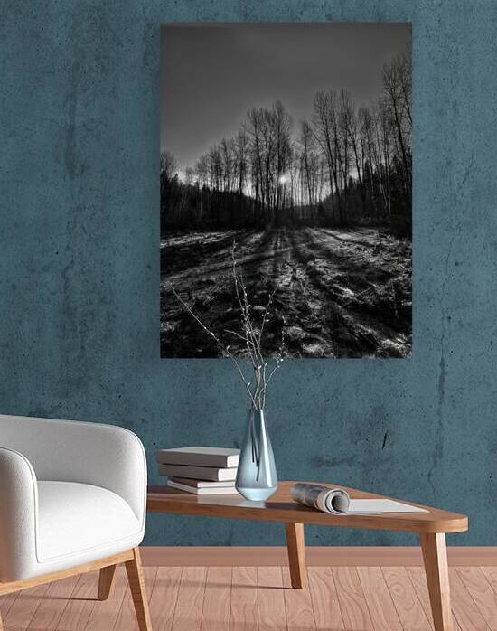Shadows at Moores Meadow  by Raspberry Rose Photos by Pip KImberley