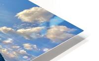 IMG 4083 HD Metal print