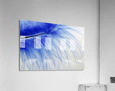 feather  blue  colored  slightly  Acrylic Print