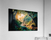 nature landscape  forest 21 Acrylic Print