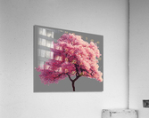Cherry Tree Nature Acrylic Print