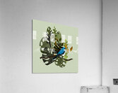 Bird Nature Forest Acrylic Print