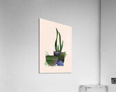 Botanical Plants Acrylic Print