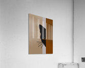 Cat Pet Acrylic Print