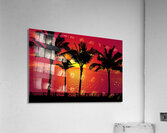 Palm Trees Sunset night Acrylic Print