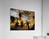 Sunset Palm Trees Tropical Acrylic Print