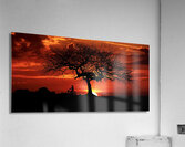 Sunset Tree Landscape night Acrylic Print