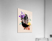 Bird Blackbird Drawing Acrylic Print
