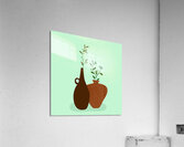 Vases Pots Plants Acrylic Print