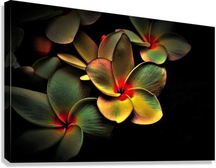 Blossoms Colored Abstract Canvas Print