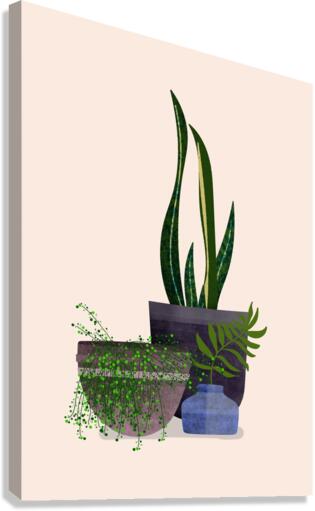 Botanical Plants Canvas Print