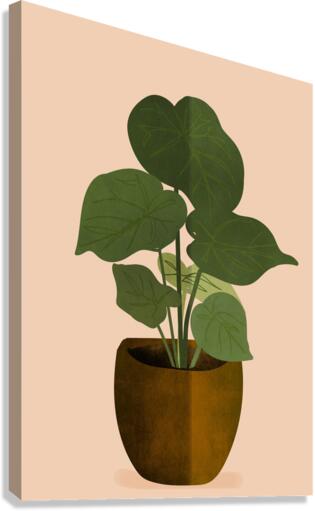 Boho Plant Background Canvas Print