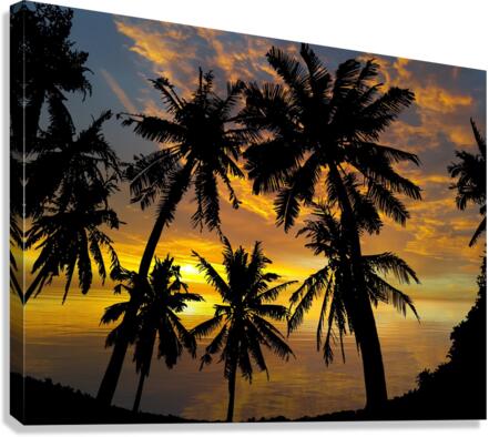 Sunset Palm Trees Tropical Canvas Print
