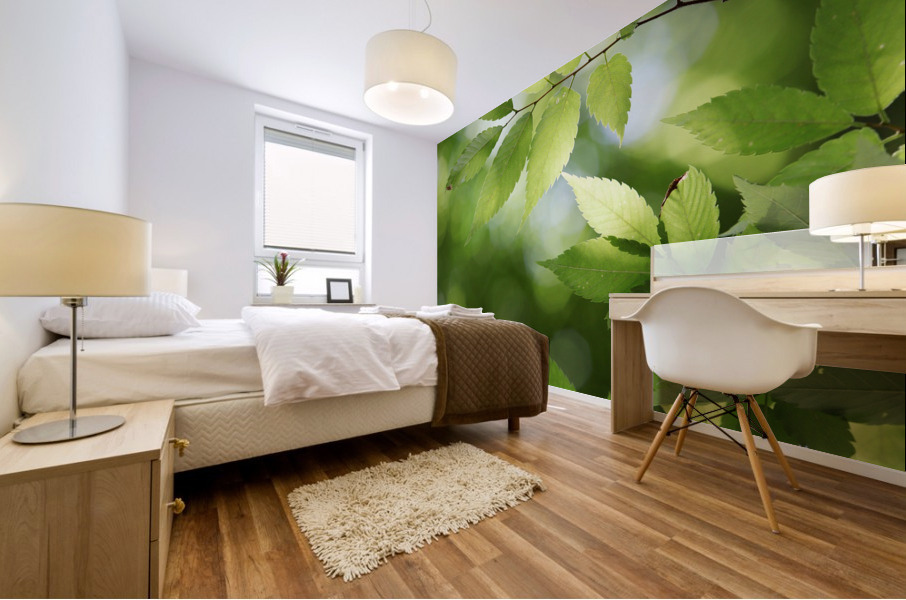 Leaves Tree Plant Mural print
