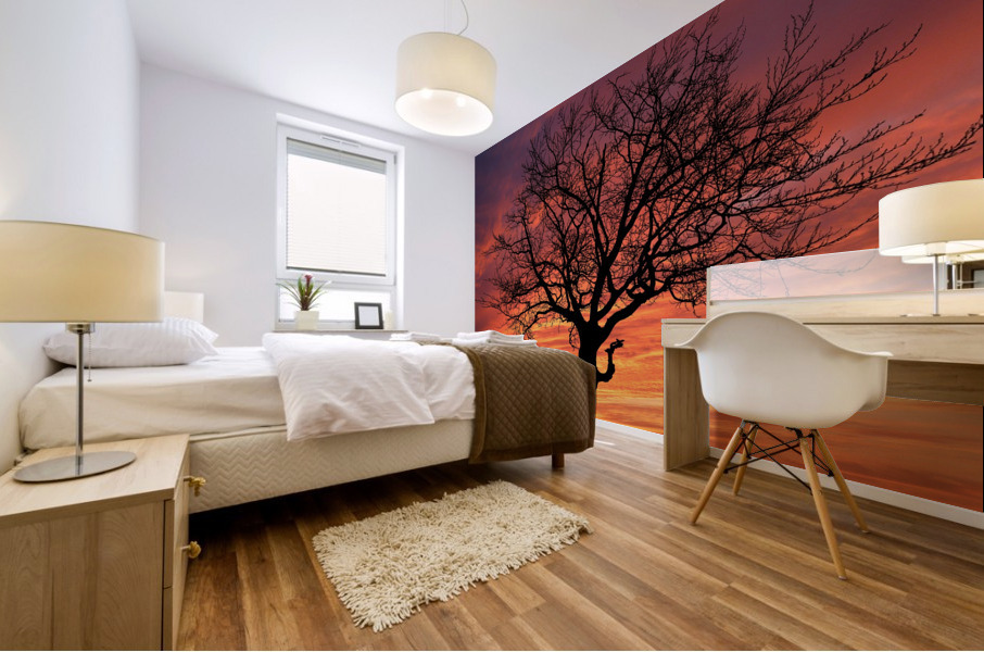 Sunset Tree Nature night Mural print