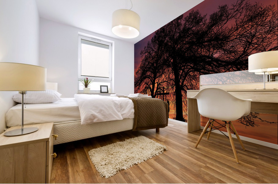 Sunset Tree Nature night  Mural print