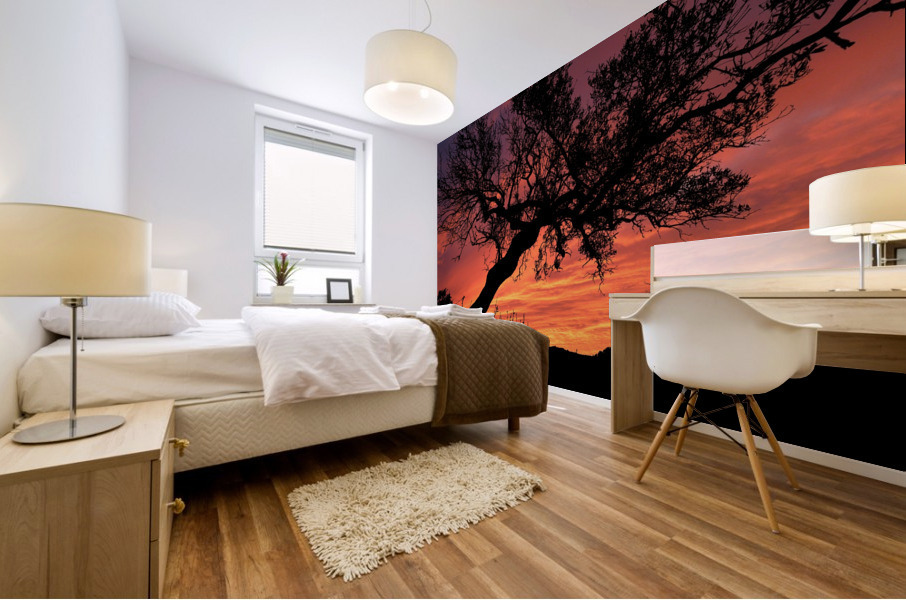 Sunset Tree Nature night  Mural print