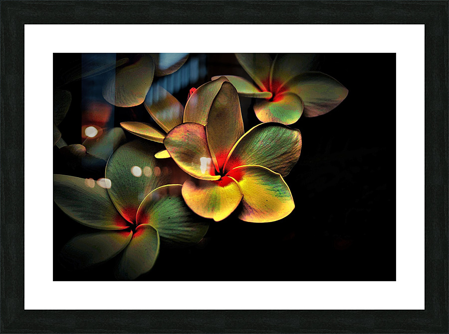 Blossoms Colored Abstract Picture Frame print