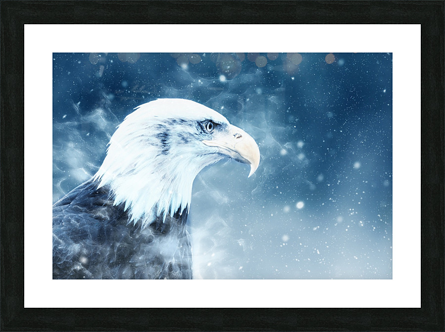 Eagle Bird Snow Picture Frame print