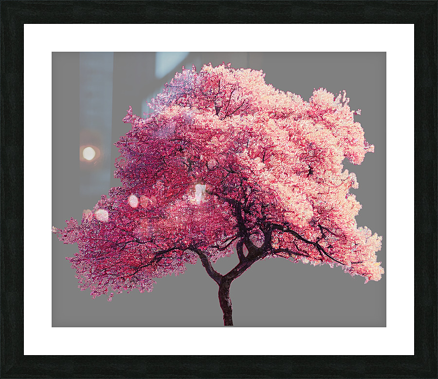 Cherry Tree Nature Picture Frame print