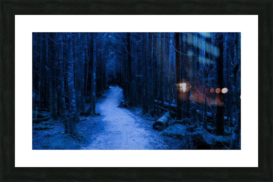 Forest Night Trees Picture Frame print
