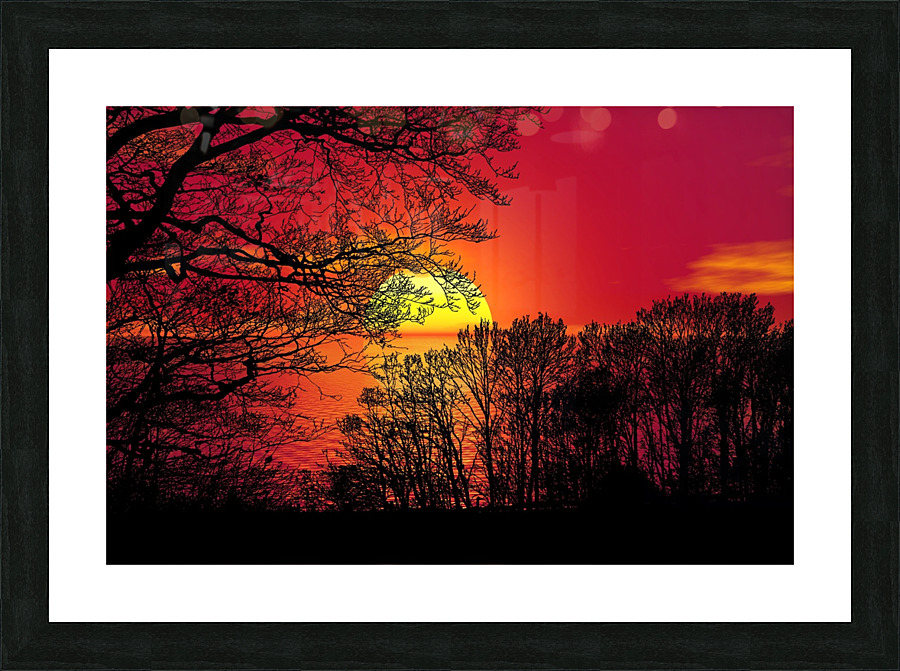 Sunset Forest Trees  night Picture Frame print