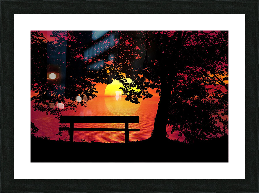 Sunset Bench Trees night Picture Frame print